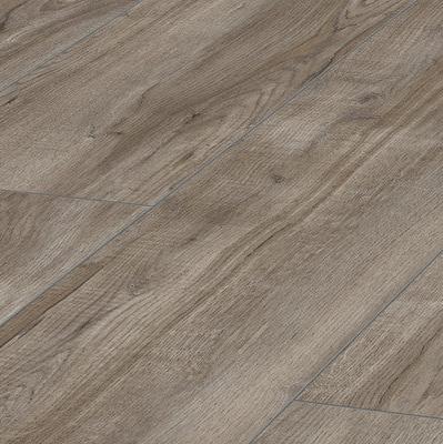 Authentik Eclat Eiche Ginger Silver Laminatboden